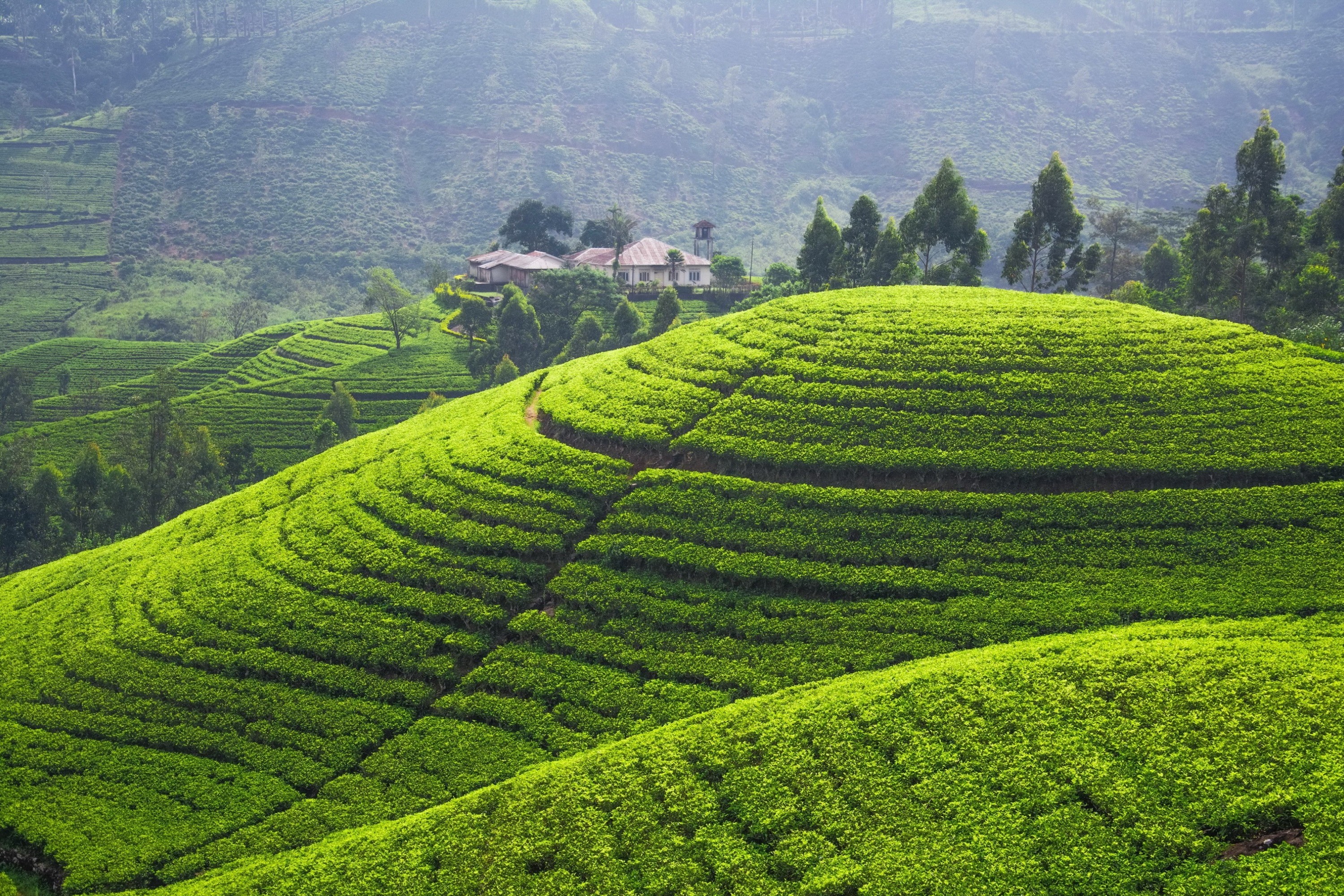 Sri Lanka